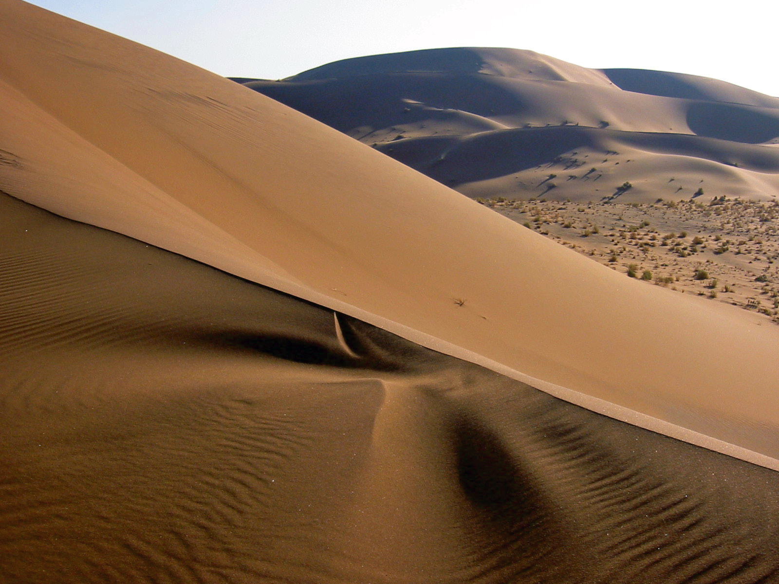 20060619220038 21Namib Desert Namibia 282 29