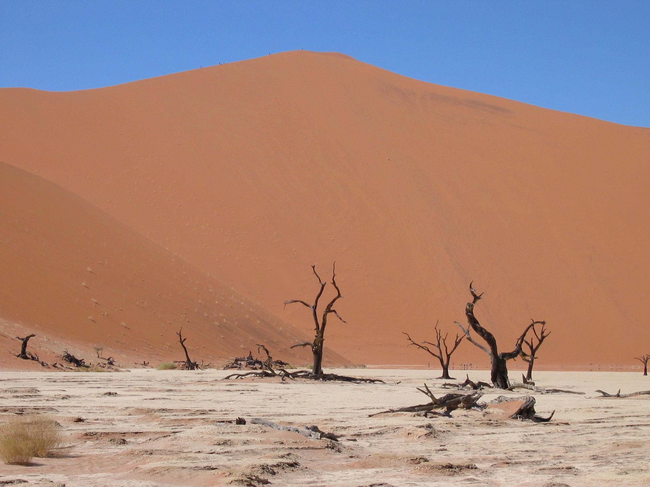 350m D C3 BCne Deadvlei Sossusvlei