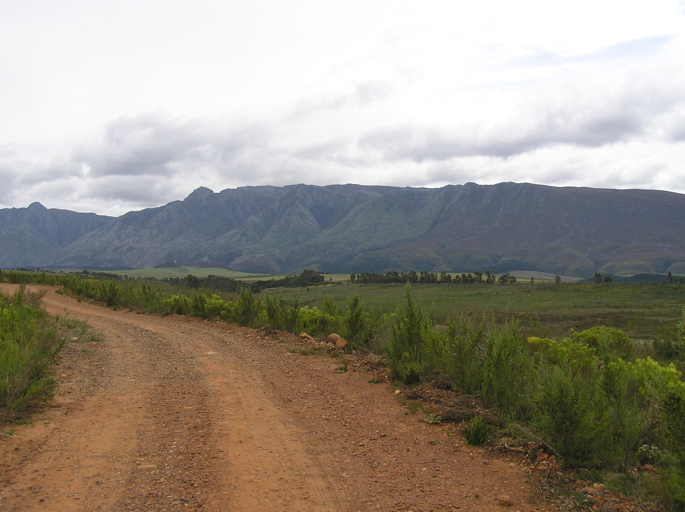 Langeberg MountainsPA020125
