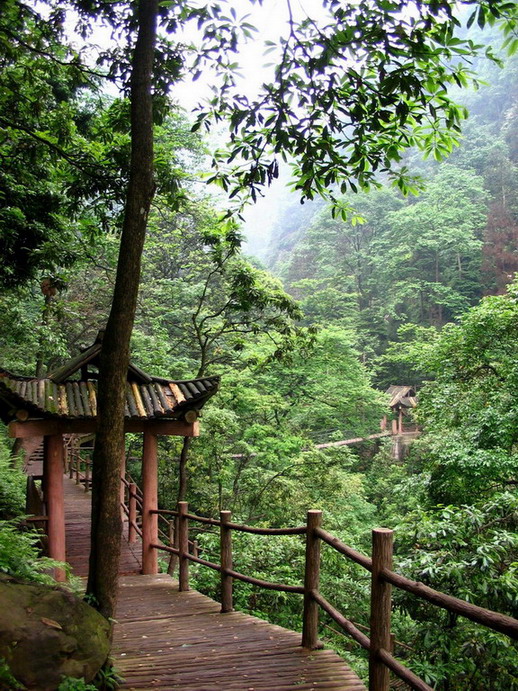 CrystalStreamOverpass2