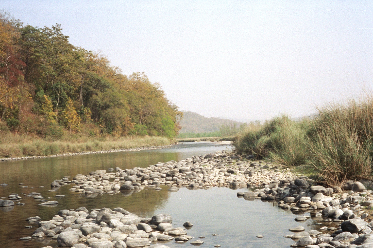 River in Corbett National Park