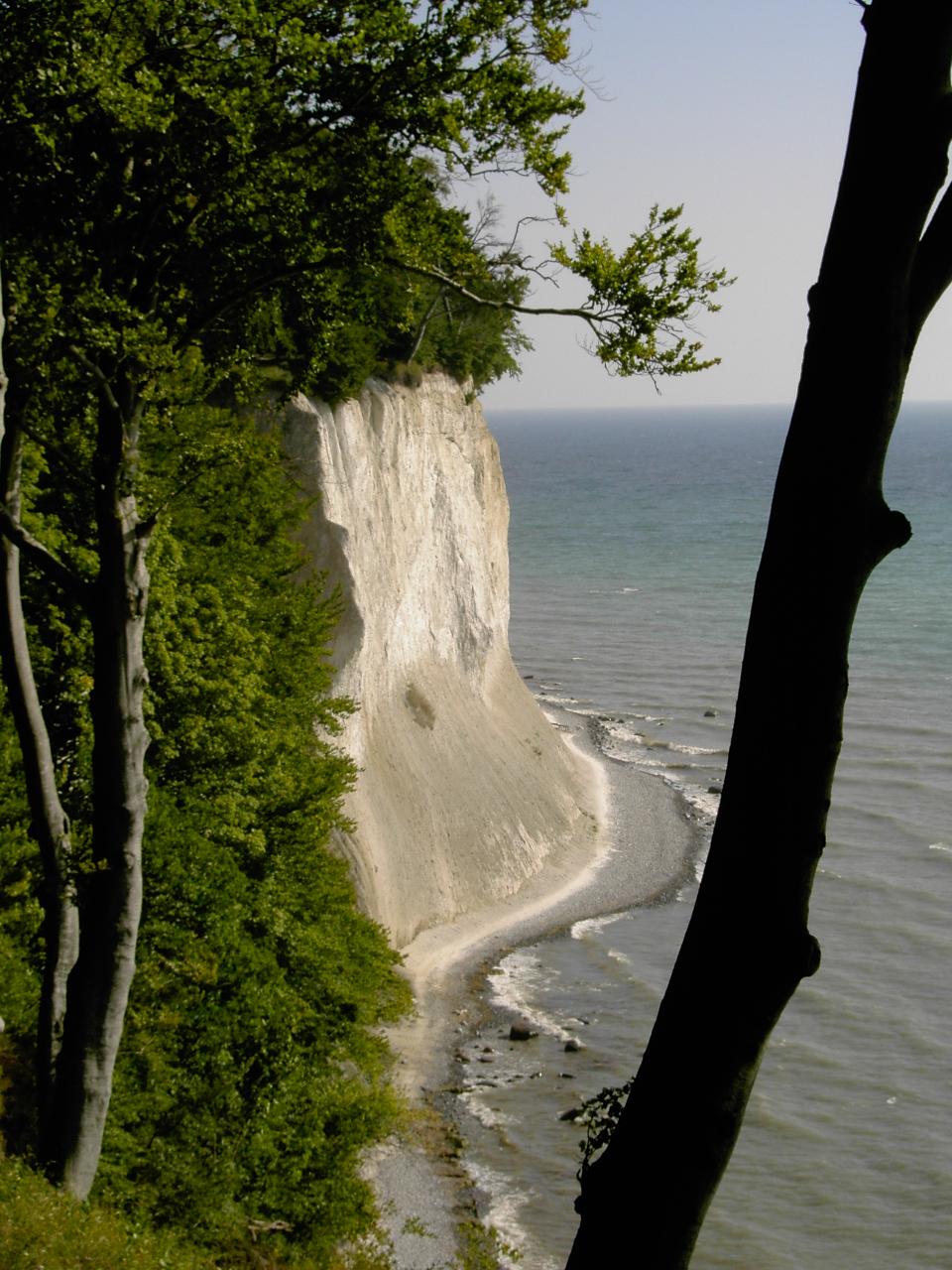 Kreidefelsen Nationalpark Jasmund auf Ruegen