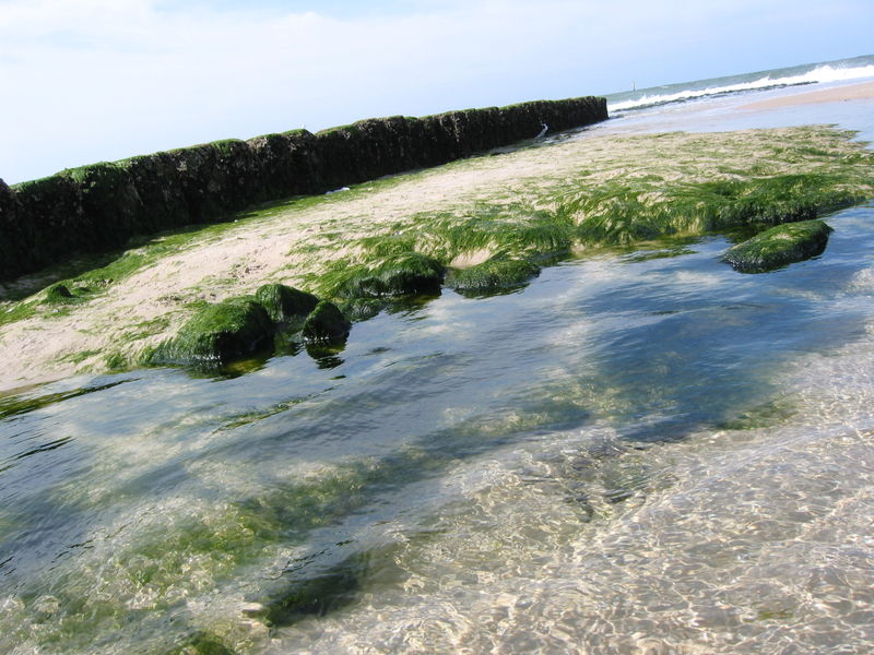 800px Groyne near Westerland