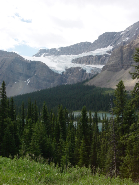 Crowfootglacier