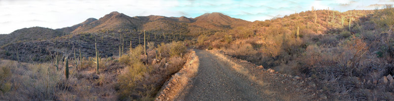 800px Saguaro National Park Panorama