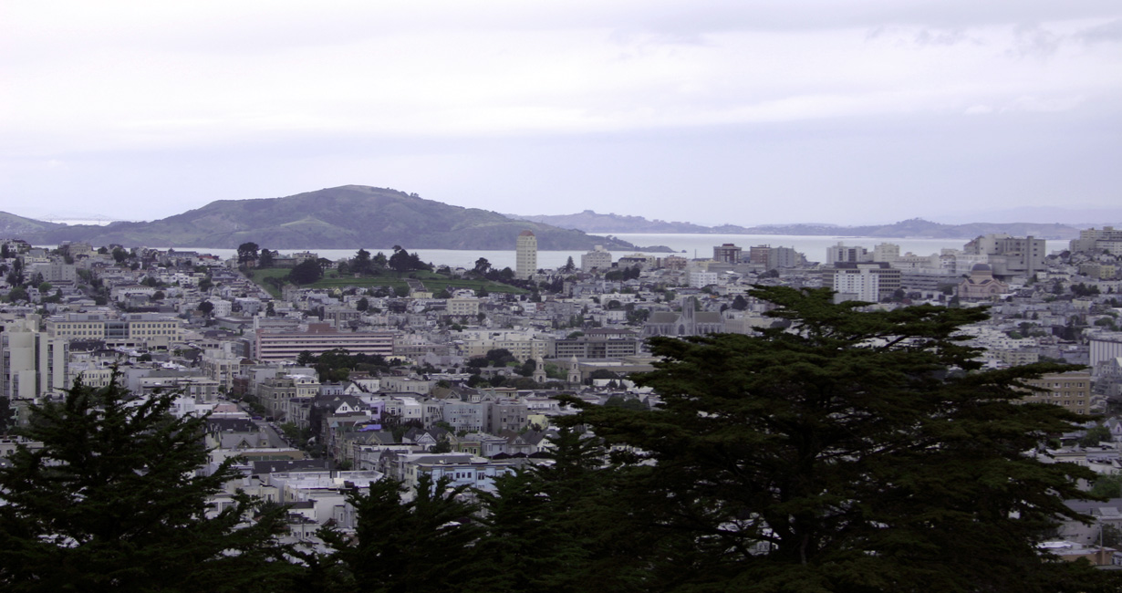 Sf skyline from buenavistapark