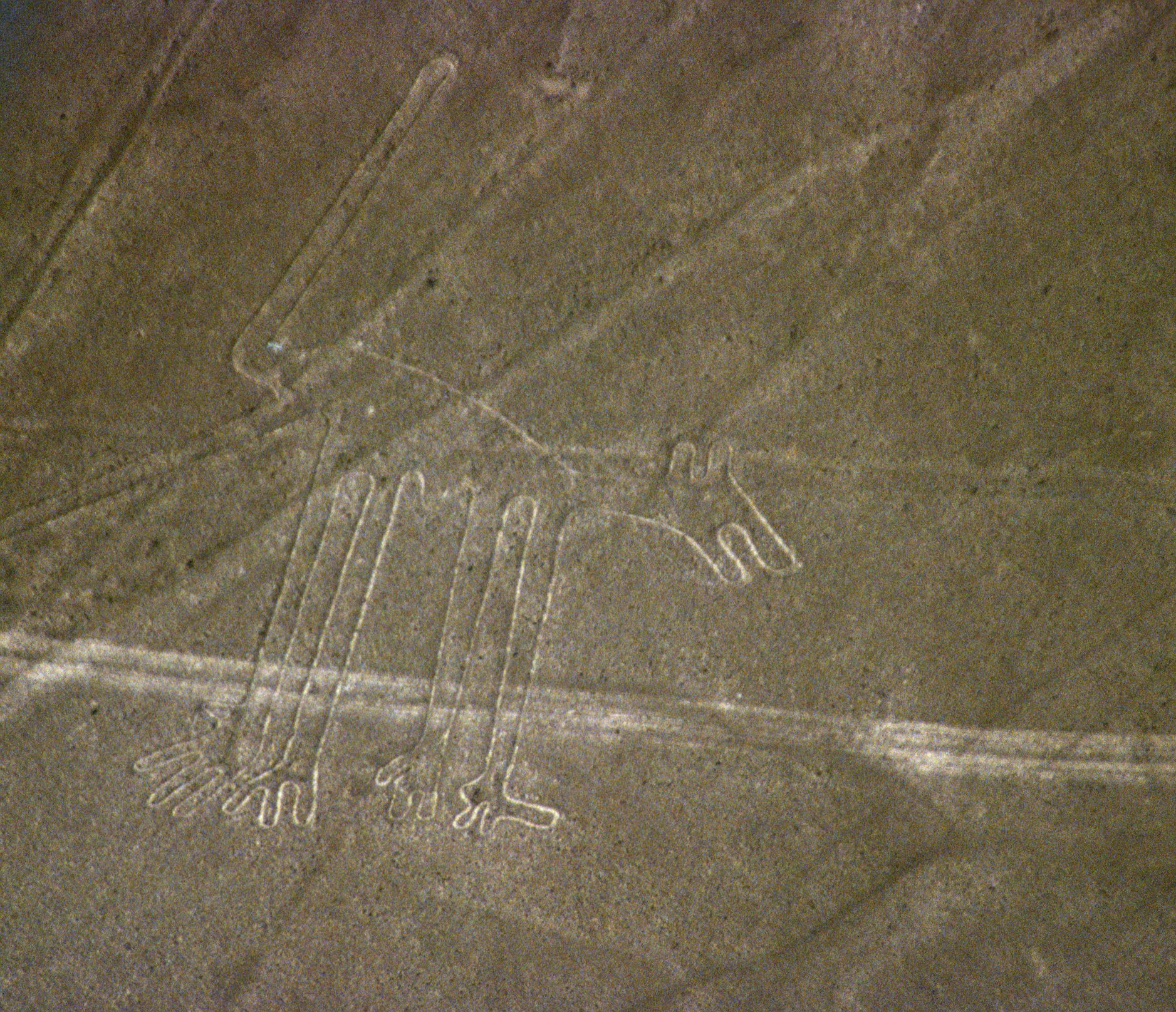 Nazca lineas perro c01