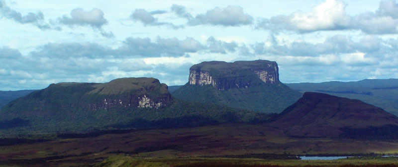 08 Canaima avion